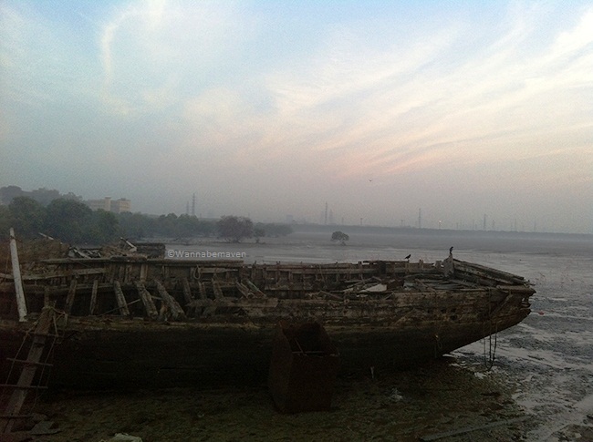 Shipwreck - Sewri jetty flamingos