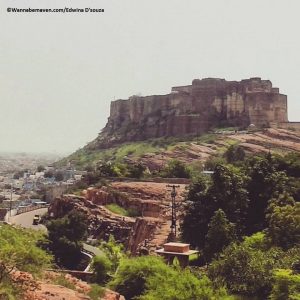ziplining at Mehrangarh fort jodhpur