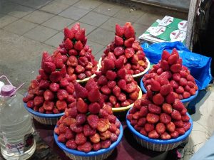 mahabaleshwar for families- strawberries