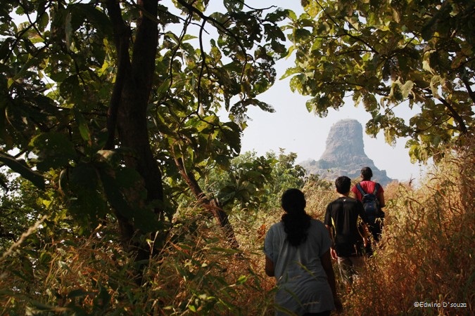 Karnala Fort trek - karnala bird sanctuary