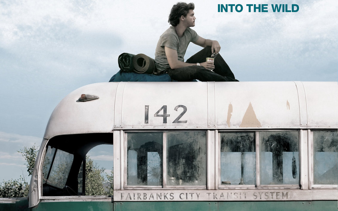 into the wild - travel films