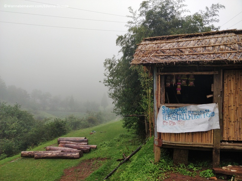 David scott trail meghalaya