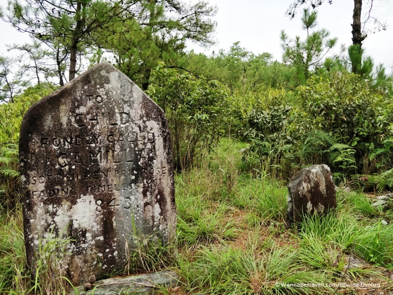 David scott trail meghalaya