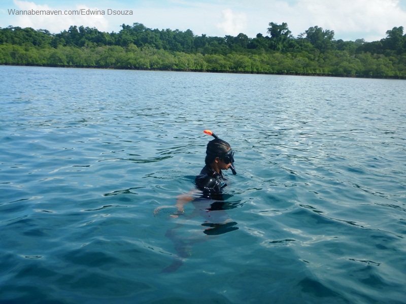 diving in andaman-havelock